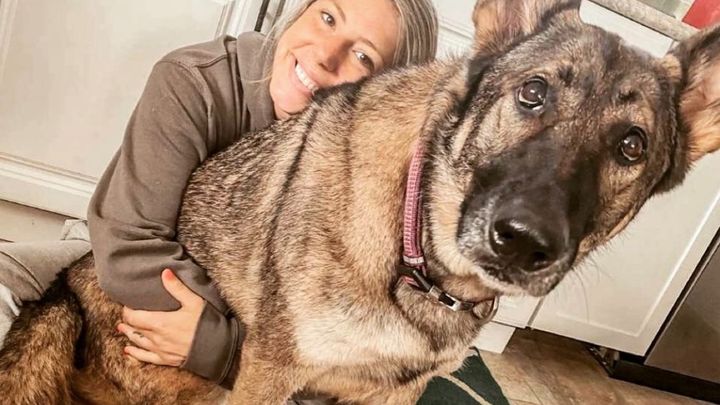 Helping Denali ❤️ campaign photo, 1 of 2