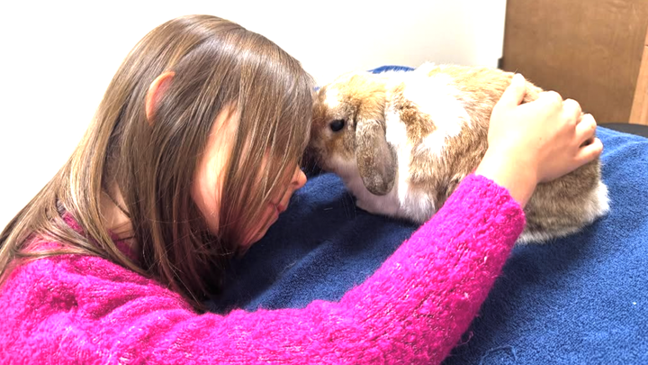Support Ravioli's Eye Surgery Journey campaign photo, 1 of 8