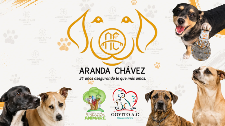 Corre 31: Dejemos Huella por Animare y Goyito campaign photo, 1 of 8