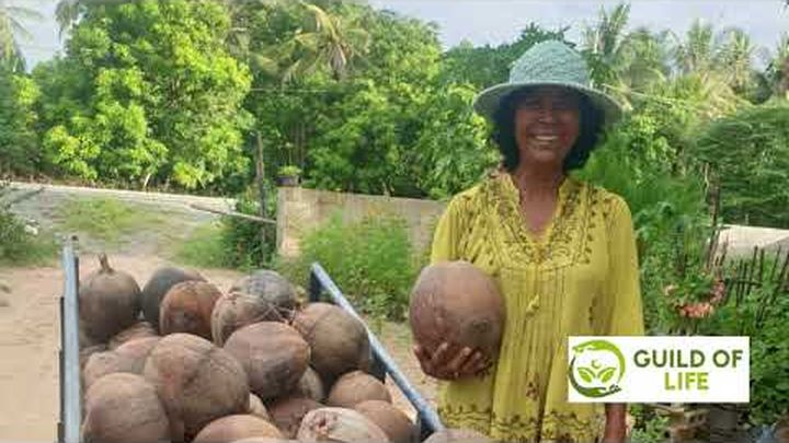 Get Kimberley Back to Bintan (Indonesia) to Start Teaching video thumbnail, 1 of 8
