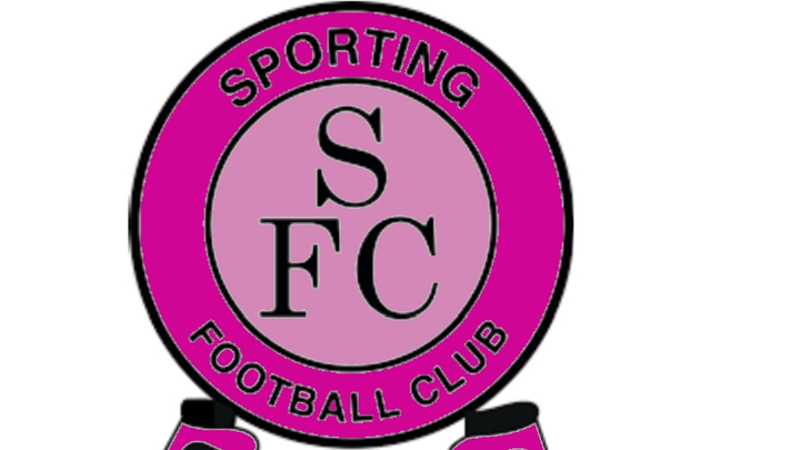 Raising money for girls u9s team campaign photo, 1 of 3