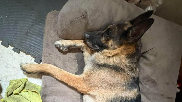 Help Sienna Get Life-Saving Surgery Tomorrow campaign photo, 1 of 5