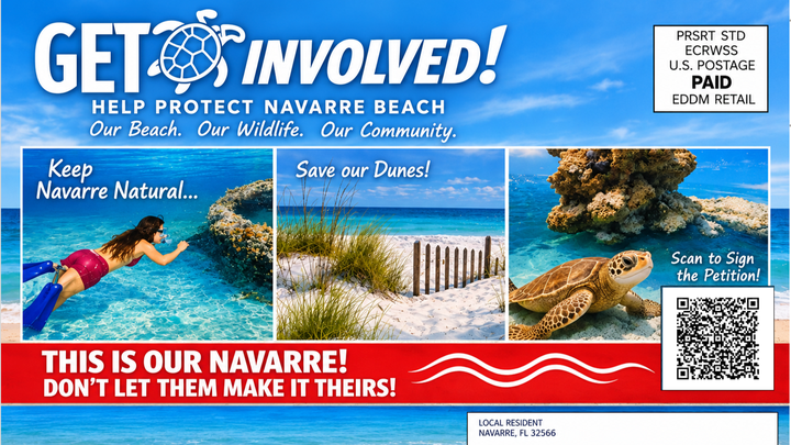 Warn EVERY Resident About the Proposed Beach Development! campaign photo, 1 of 5