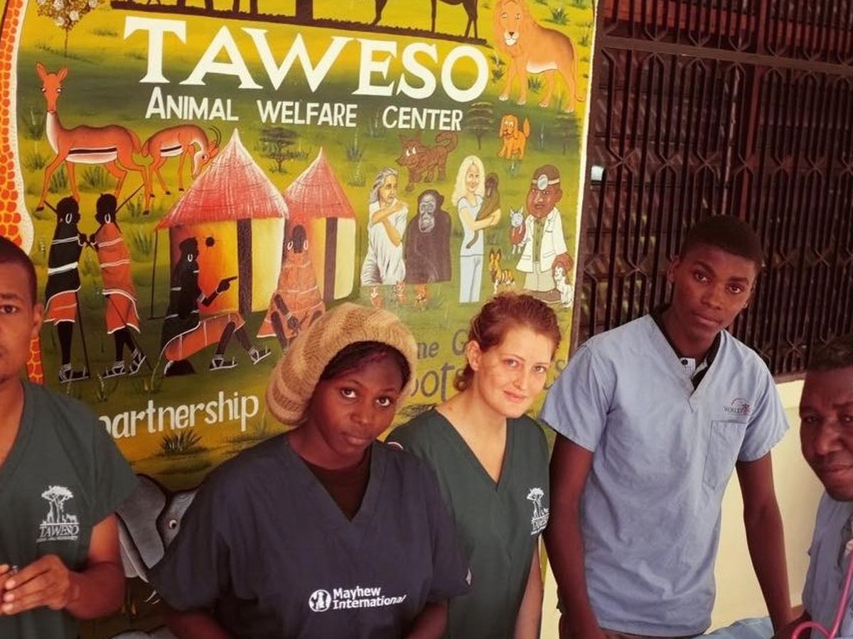 Fundraiser’s main image