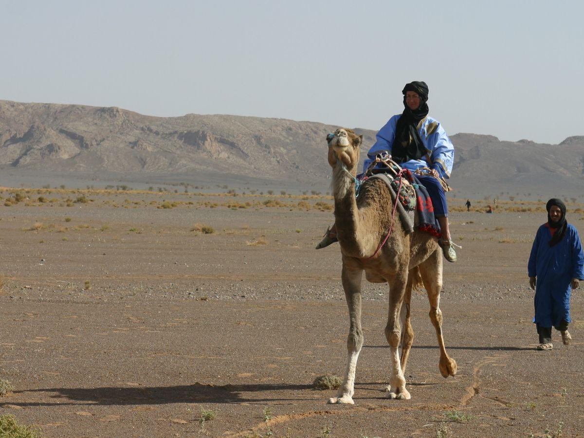 Help Sandy Cross the Sahara Desert campaign photo, 1 of 7
