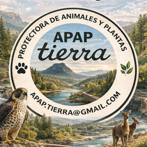 APAP TIERRA