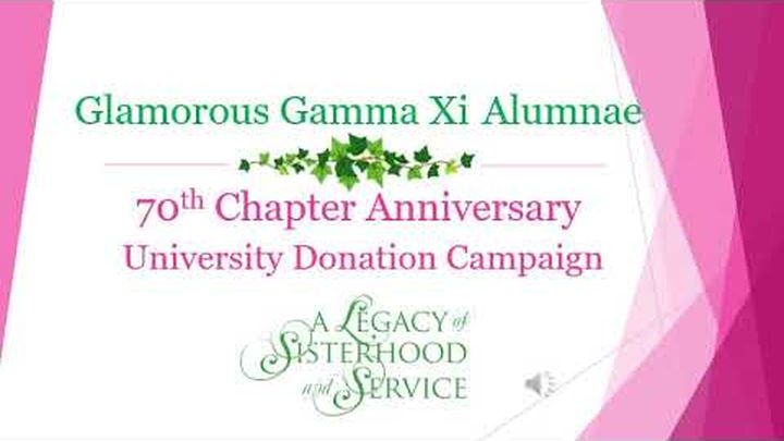 Main fundraiser photo