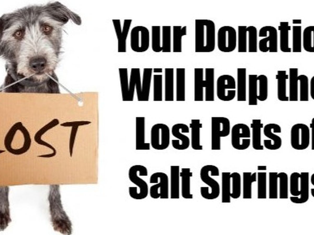 Fundraiser’s main image