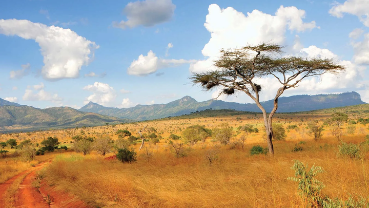 Keira goes to Kenya. Camps international campaign photo, 1 of 3
