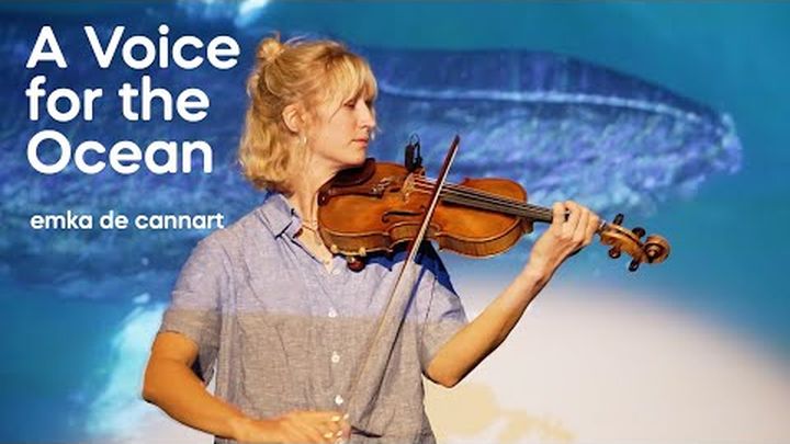 Join my PhD adventure: interconnectedness, music and science video thumbnail, 1 of 8