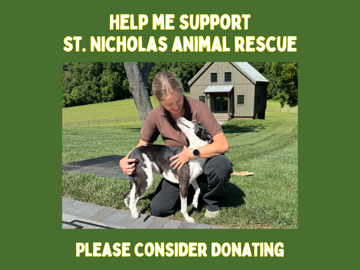 Fundraiser’s main image