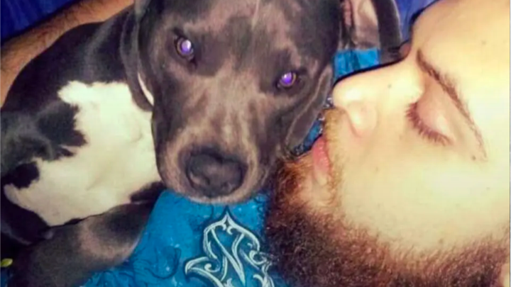 Help the Hernandez Family Honor Alex campaign photo, 1 of 3