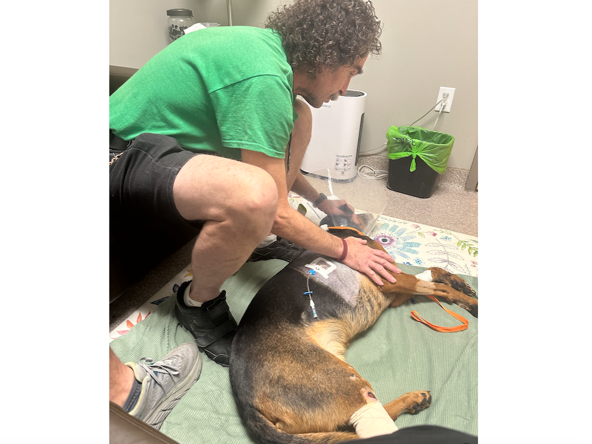 Fundraiser for Doug Ellison by Tom Ellison : Help Doug Save Hector ...