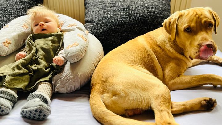 Main fundraiser photo