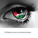 Gaza's Family