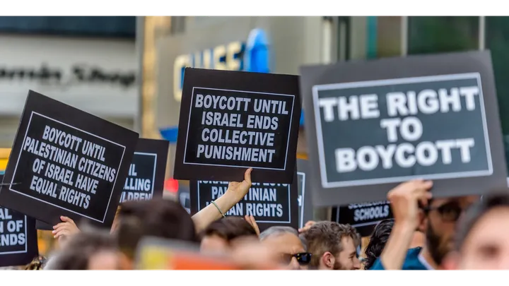 Helps us Fight Anti-BDS in Illinois campaign photo, 1 of 3