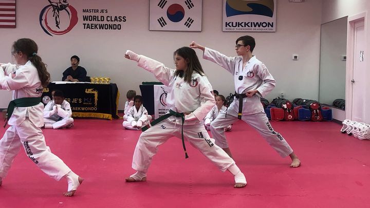 Support Piper’s Journey to Become A Black Belt campaign photo, 1 of 8