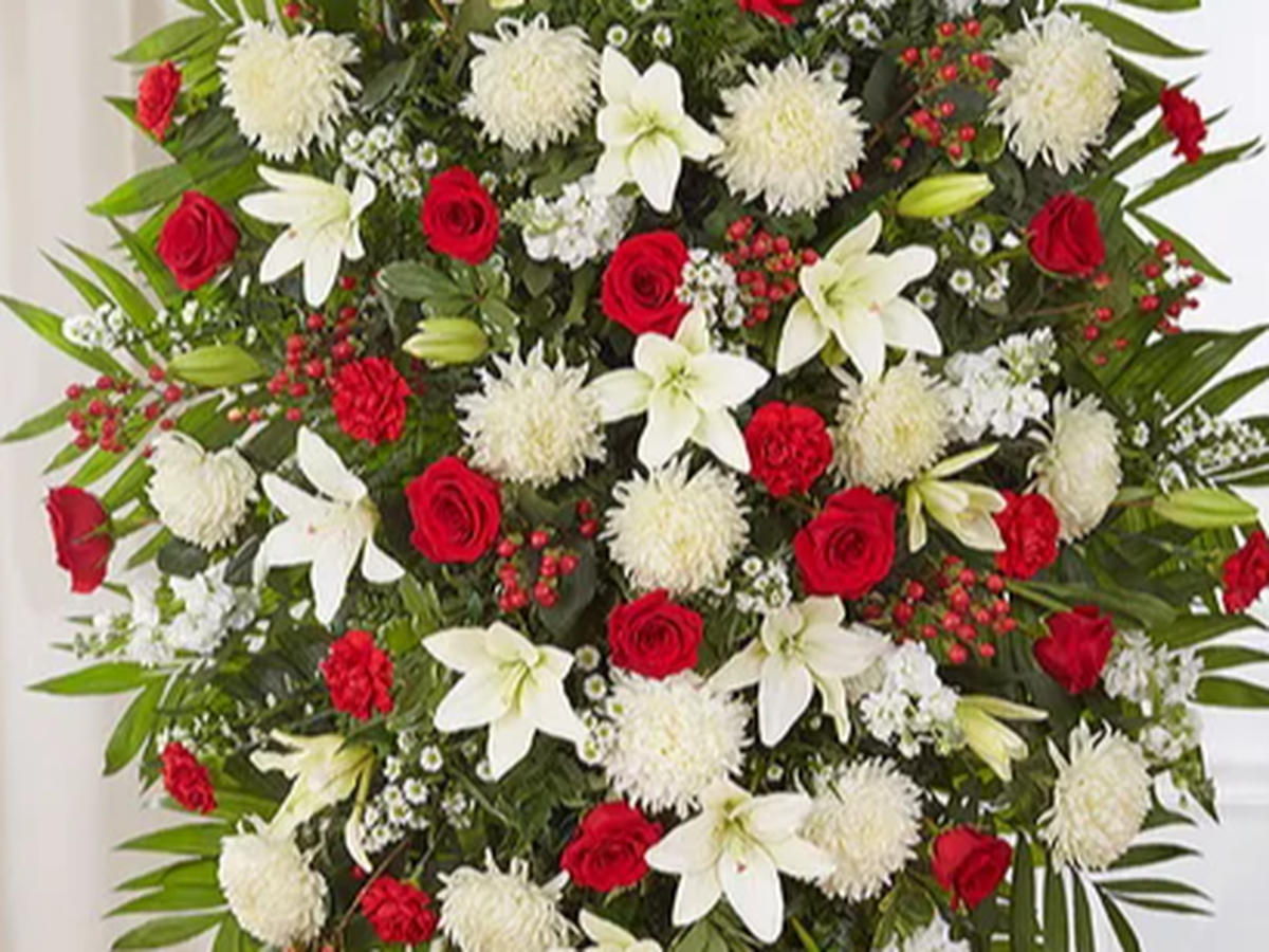 Fundraiser’s main image