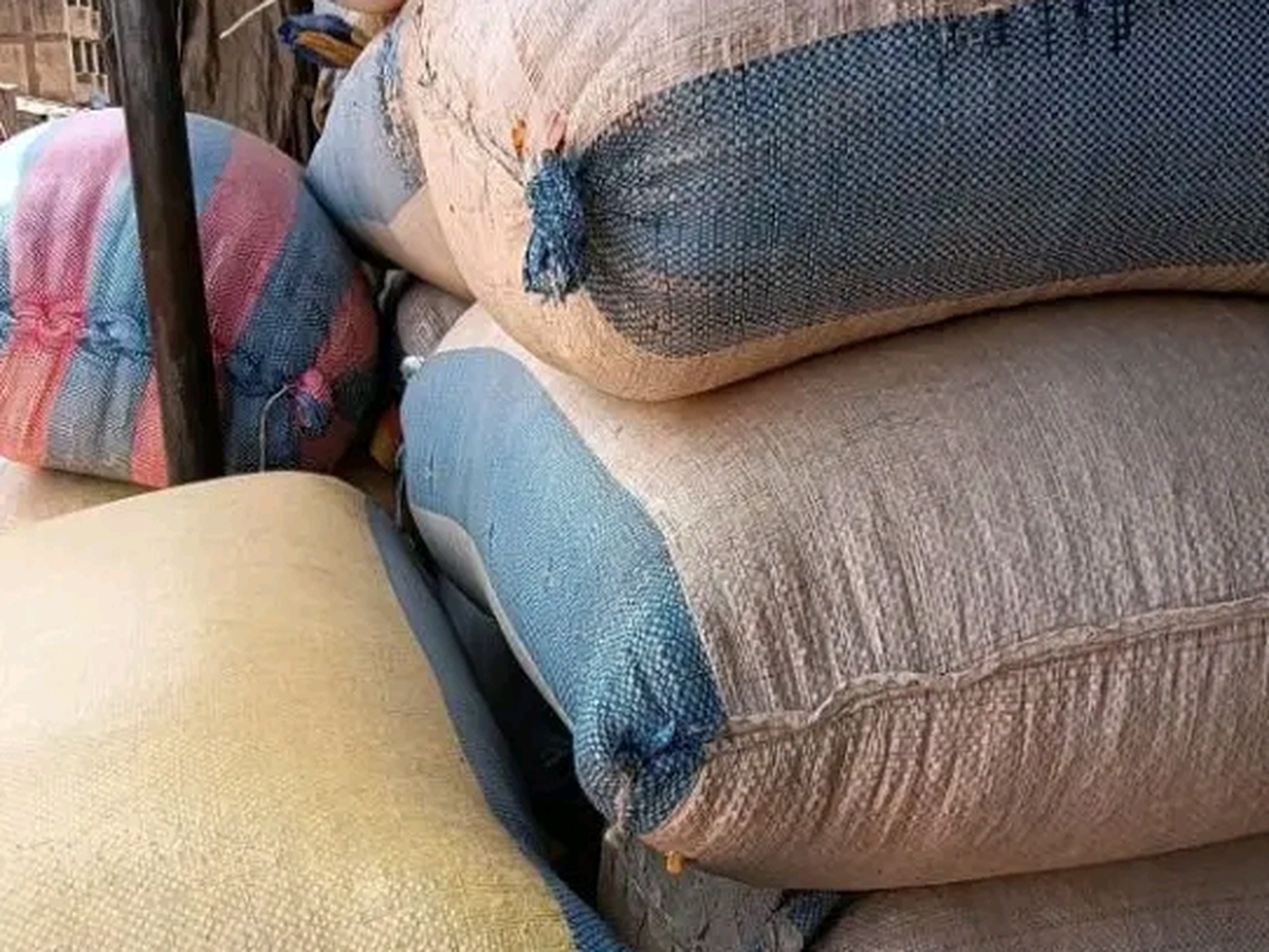 Imagen principal de la recaudación de fondos