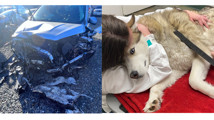 Head on collision fund campaign photo, 1 of 3