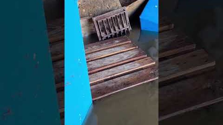 Aiutiamo SSD Gymnova a ripartire dopo l’alluvione di Latina video thumbnail, 1 of 8