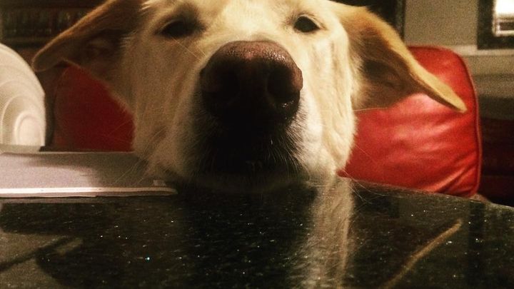 Help silly goober recover from money problem campaign photo, 1 of 4