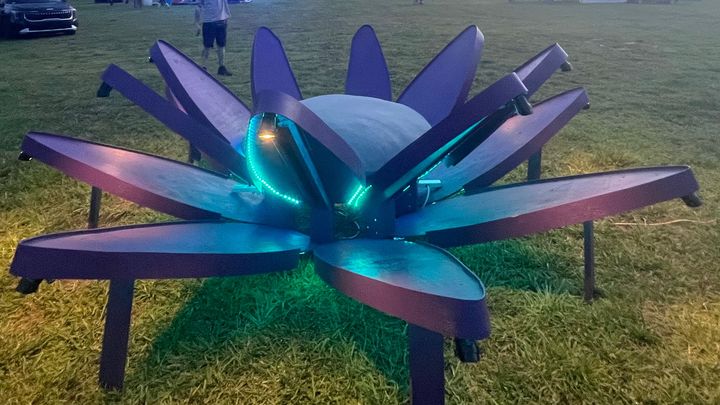 Help Bring The Luma Lotus to Burning Man 2026 campaign photo, 1 of 8