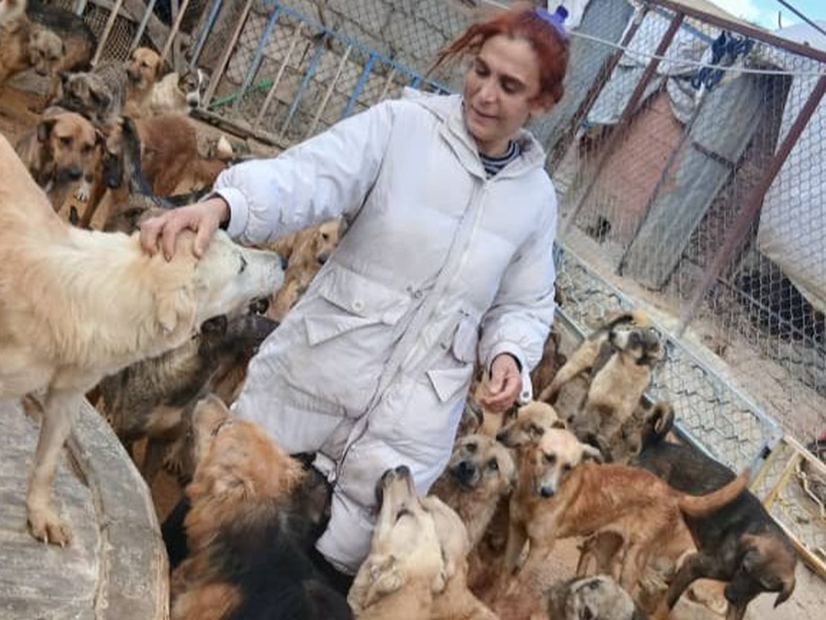 Please help Annie's animals campaign photo, 1 of 8