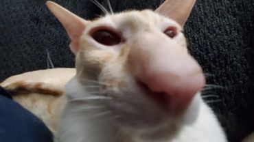 Joseph (Carter) Ponce