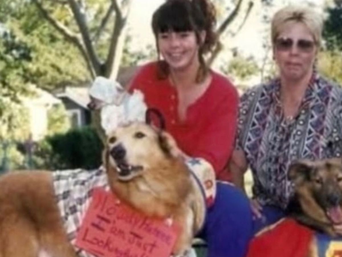 Fundraiser’s main image