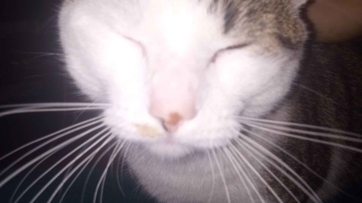 Support Kat's Move to a Loving Home campaign photo, 1 of 8