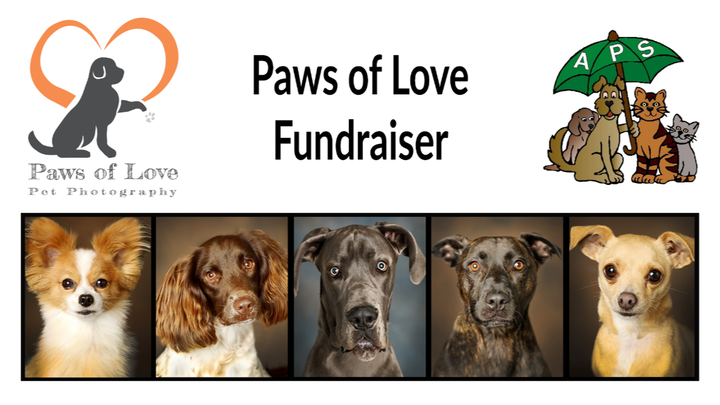 Main fundraiser photo