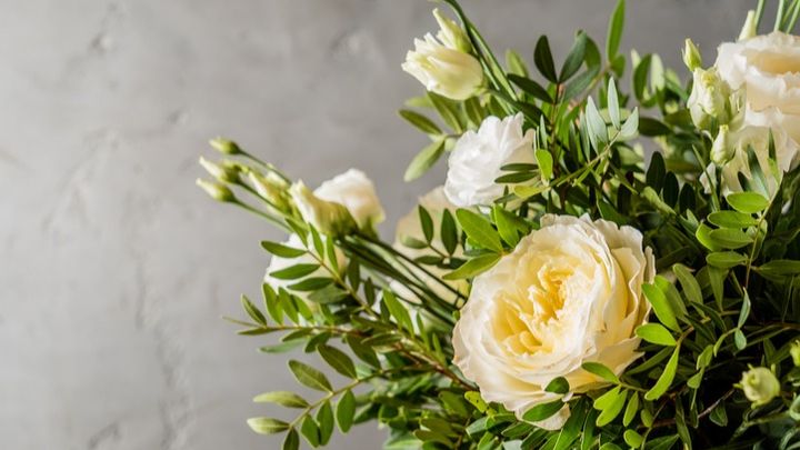 Foto principale della raccolta fondi