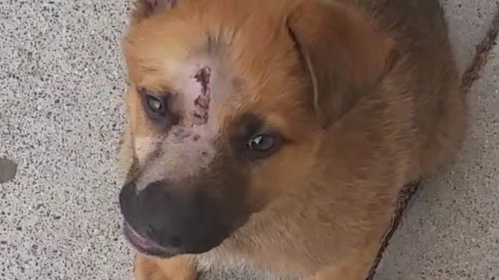 Main fundraiser photo