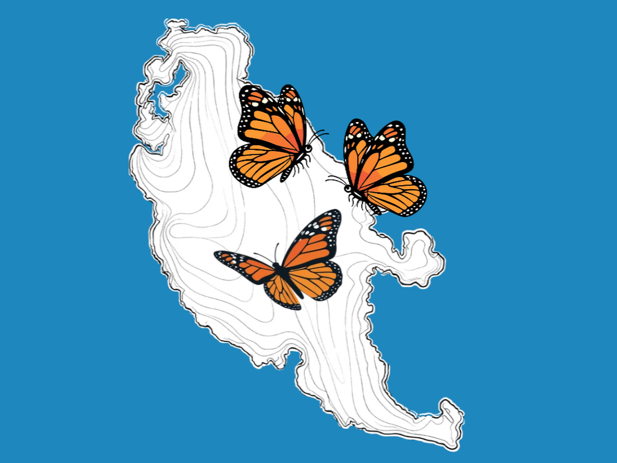 Fundraiser’s main image