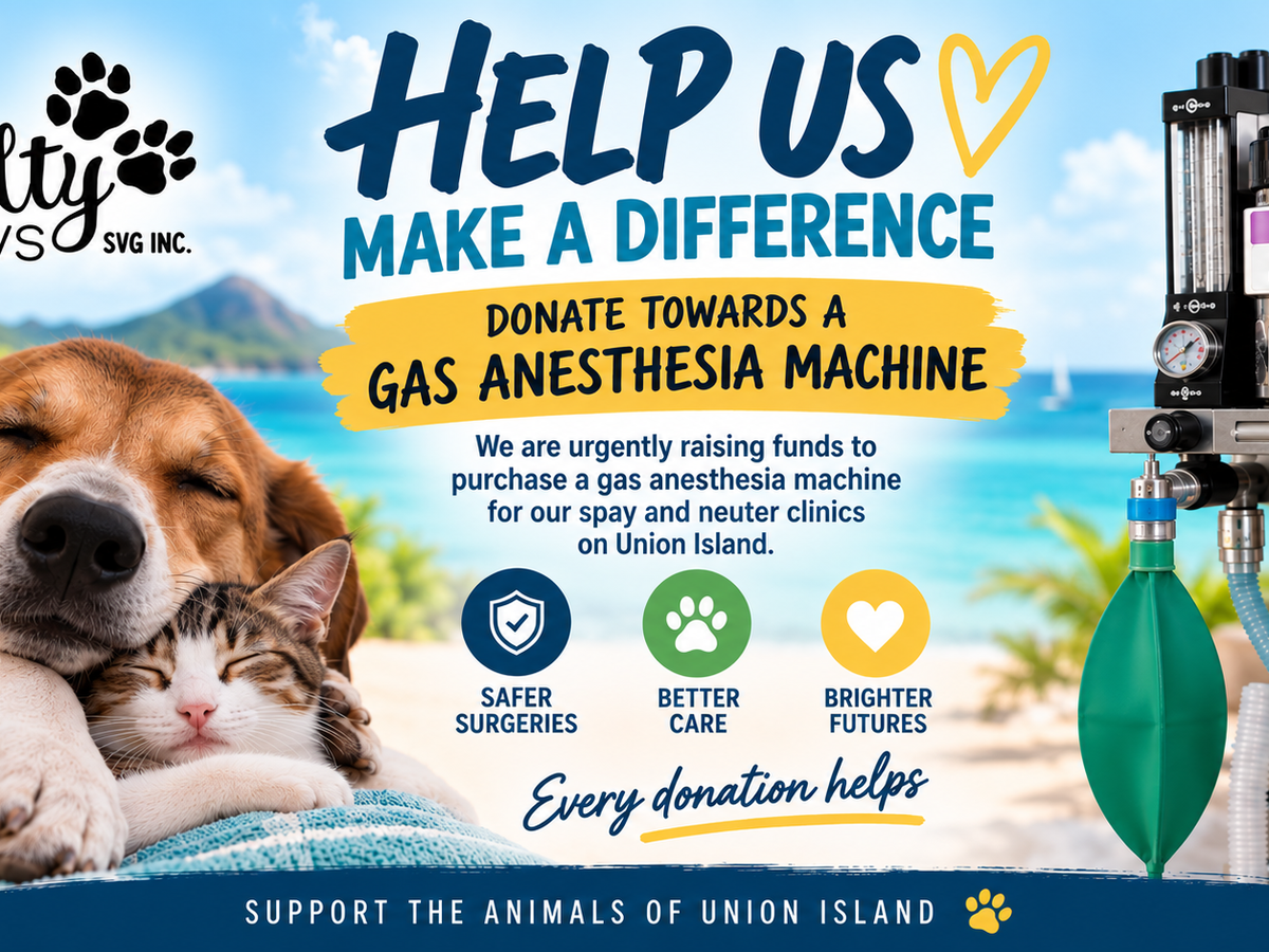 Fundraiser’s main image