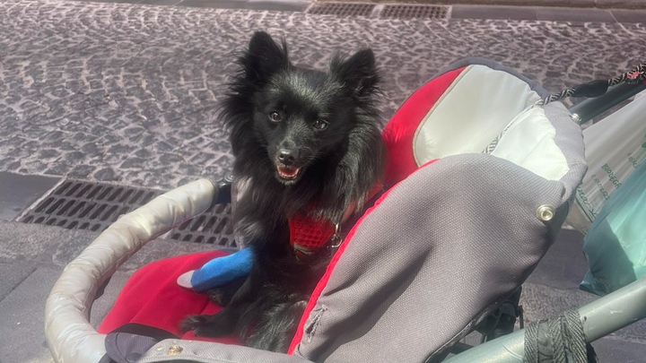 Main fundraiser photo