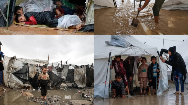Help Provide Food, Warmth & Shelter in Gaza campaign photo, 1 of 4