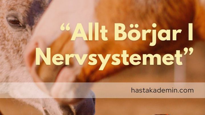 Vision Hästfristaden campaign photo, 1 of 3