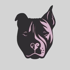 Show Me Your Pitties Rescue