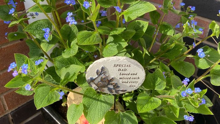 Hauptbild des Spendenaufrufs