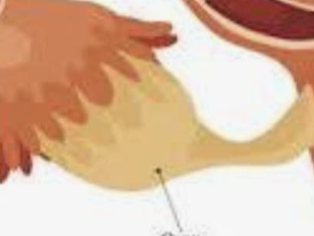 Fundraiser’s main image