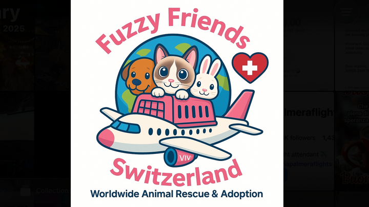 Foto della campagna Worldwide Animal Rescue & Adoption, 1 di 3