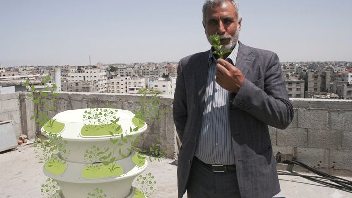Juthoor: Displaced dignity through gardening in The Levant.