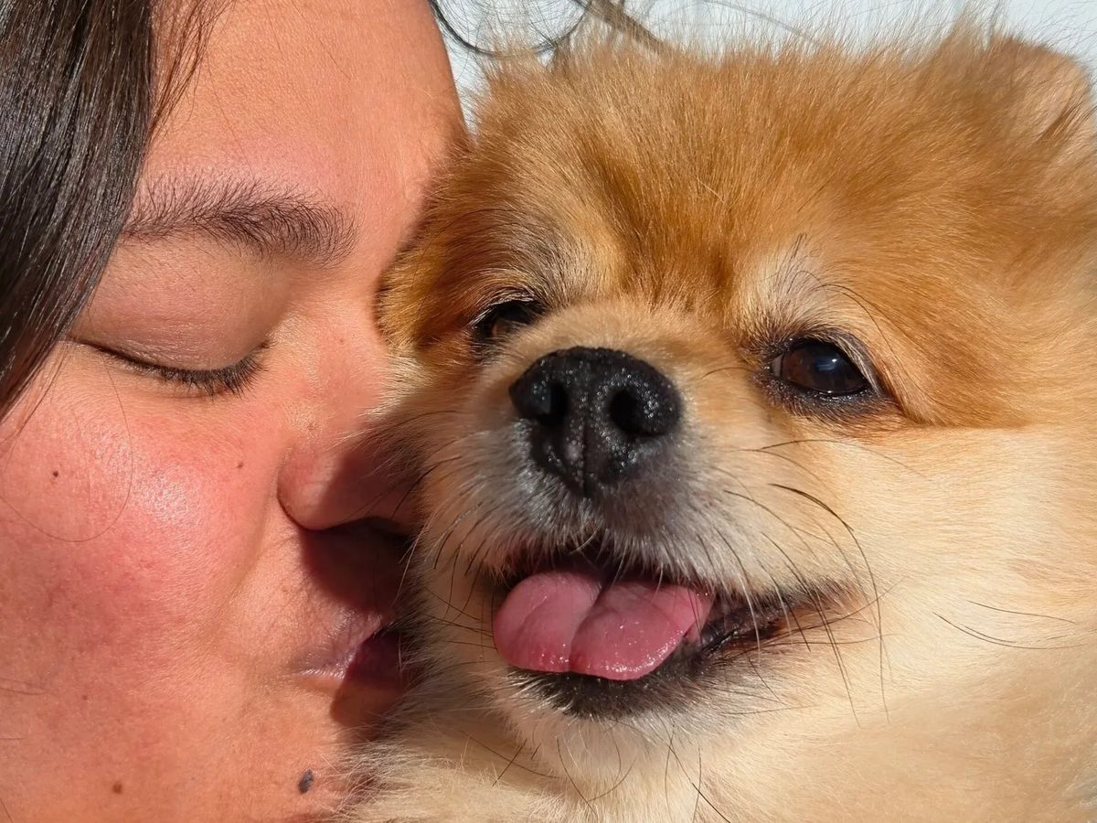 Fundraiser launched to support Kate's recovery from Nov. 3 transplant