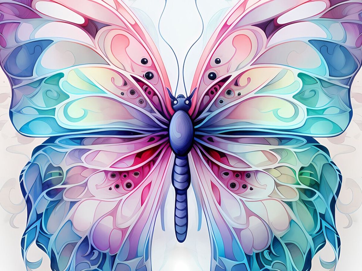 Fundraiser’s main image