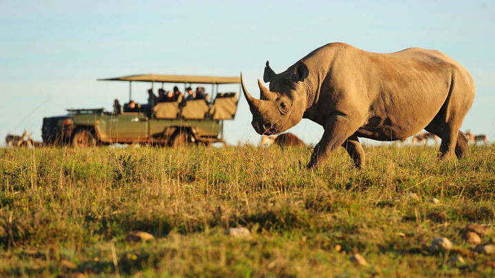 Duke of Edinburgh Residential supporting African Wildlife campaign photo, 1 of 6