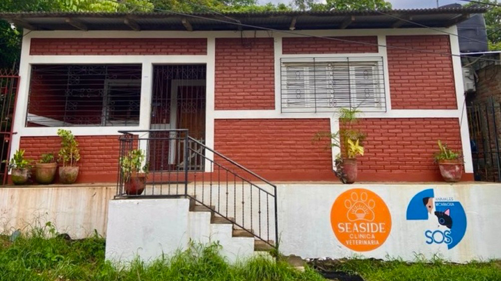 Seaside Clinica Veterinaria, Critical Clinic Upgrades Needed campaign photo, 1 of 8