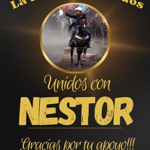 Nestor Manuel Ruiz