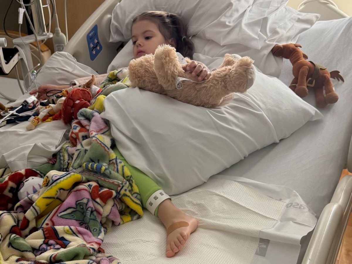 Help Addy Recover After Rattlesnake Bite campaign photo, 1 of 8